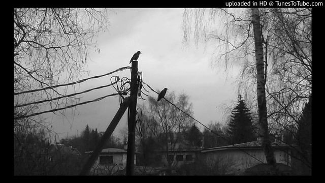 Liisa Hirsch - Mechanics of Flying. For Orchestra смотреть онлайн