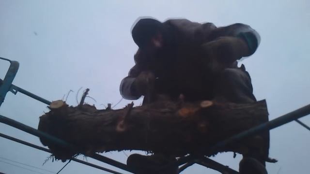 Как Я пиляю дрова - As I Pel firewood)))))ржака смотреть онлайн