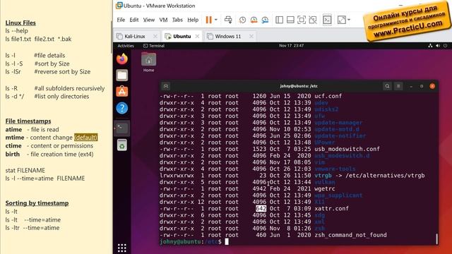 Команда ls в Linux смотреть онлайн
