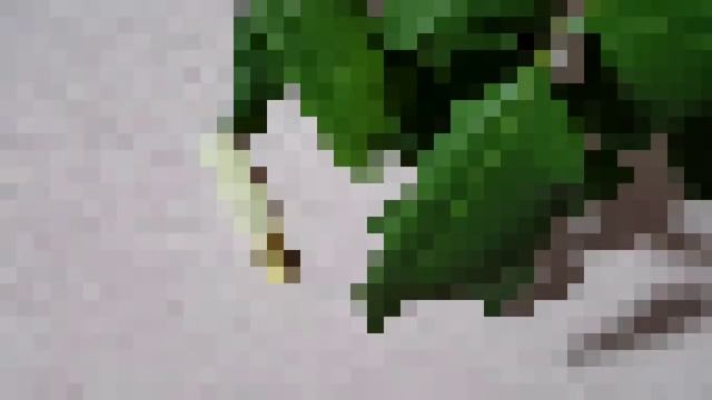 Совсем забыла про пУСтые БаНки!!! смотреть онлайн