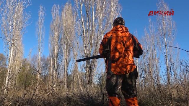 Охота по перу. Сезон 2. Крым. Фазан. смотреть онлайн