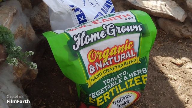 NEED RAIN!!!My Potager Garden (IS A MESS)!!!MY AGAVE ARE DYING! смотреть онлайн