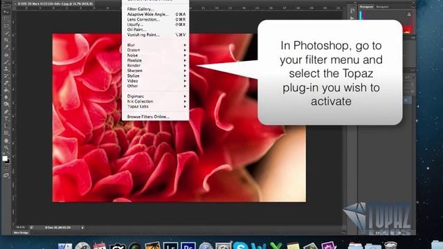 How to enter your license key into Topaz Labs смотреть онлайн