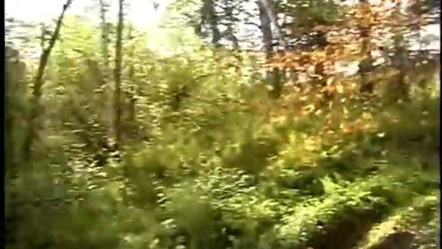 Квадропокатушки 03.09.2011 Часть 1. смотреть онлайн