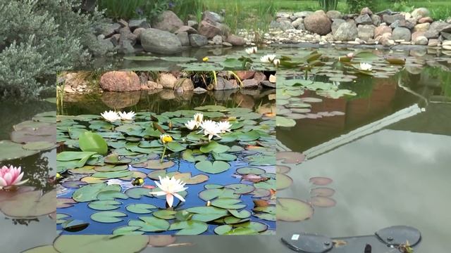 Пруд своими руками. смотреть онлайн