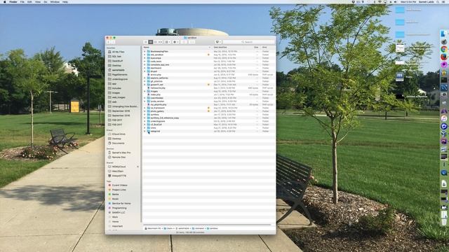 Git - basics смотреть онлайн