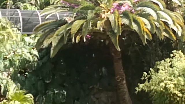 Зоопарк смотреть онлайн