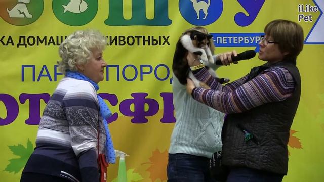 Экзоты Здоровье на  Ilikepet