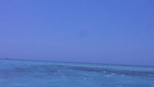 Шарм Эль Шейх! Экскурсия на Белый остров возле Рас Мохаммеда! смотреть онлайн