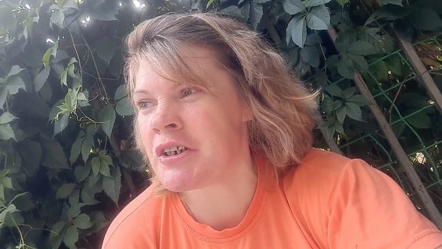 Мои разочарования в подписчике. смотреть онлайн