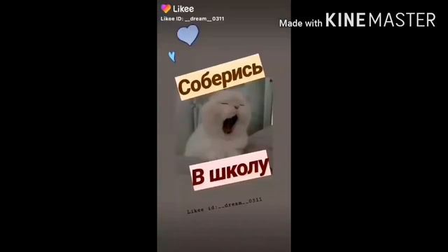 Выбери что взять в школу. смотреть онлайн