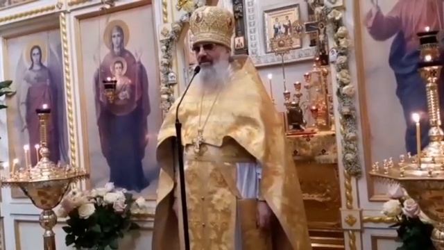 Проповедь на литургии в праздник прп. Макария Великого Египетского смотреть онлайн