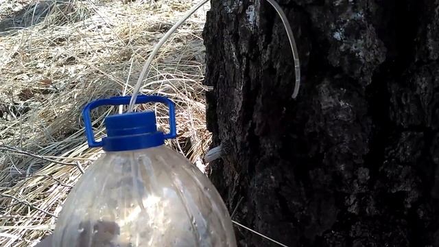 Строительный Гид