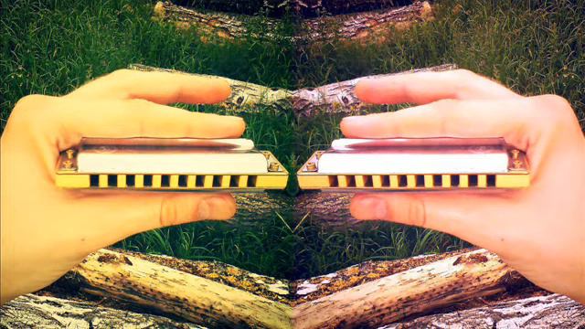 Andrey Sergeevtsev - Blues Harmonica licks смотреть онлайн