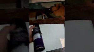 перетяжка дверных панелей(карт)  Toyota Nadia(надя).