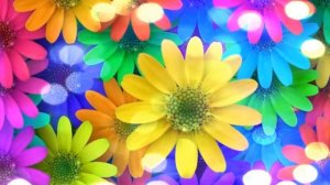 Футаж цветы