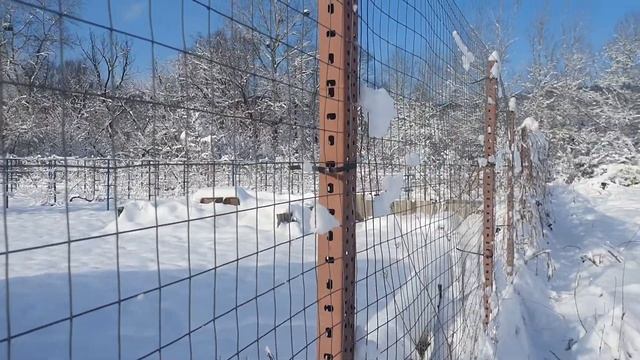 участок в центре у реки в ст. Азовской. смотреть онлайн