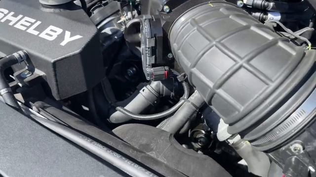 Start Up/Idle/Exhaust | 2021 Ford Mustang Shelby Super Snake Speedster | Collector Car Canada Lot 9 смотреть онлайн