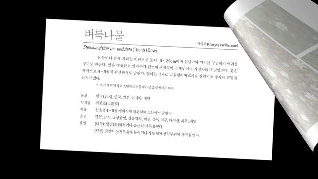 샅샅이 찾아낸 해열에 좋은 약용식물 207 смотреть онлайн