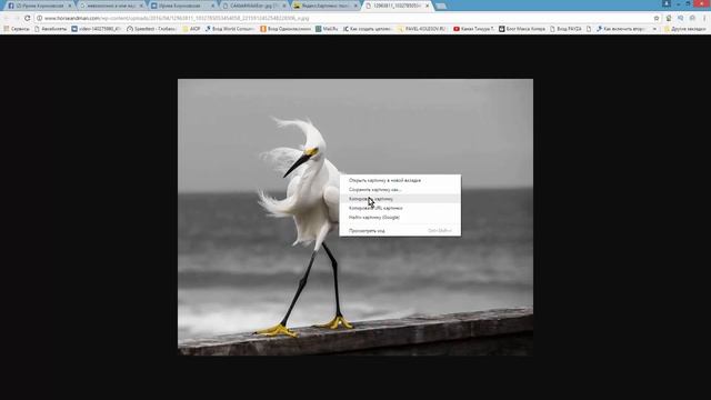 Как найти нужную картинку в Яндекс через URL? Ирина Кириковская смотреть онлайн