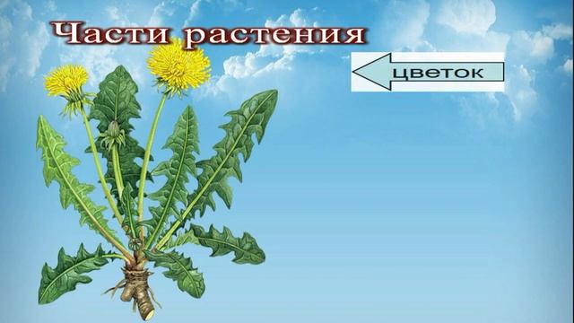 Мастер-класс по объемной аппликации на тему "Носит одуванчик желтый сарафанчик" Макаревич С.Н. смотреть онлайн