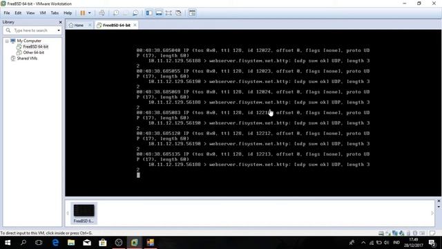 Trying use packet filter on FreeBSD смотреть онлайн