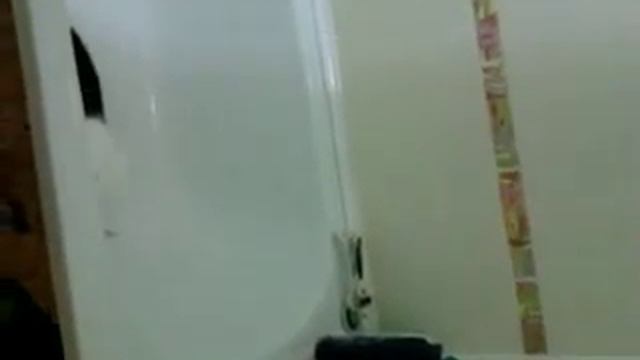 Белка смотреть онлайн