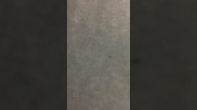 Утеплитель Шелтер ЭкоСтрой (мат) смотреть онлайн