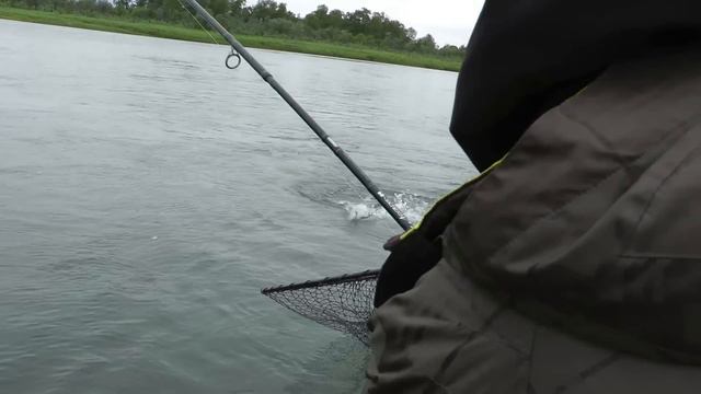 KING SALMON temptations lure AGAT Salaca 32g смотреть онлайн