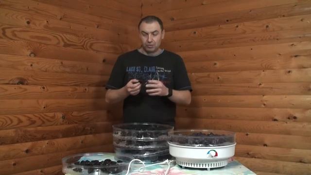 Украшения своими руками из природных материалов