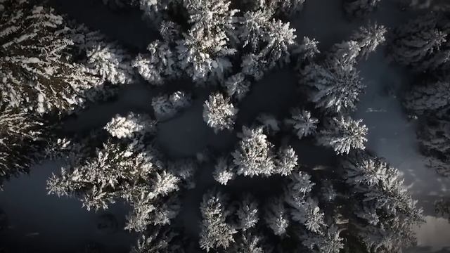 Carol of the Bells - SHARAVARABAND / Щедрик - ШARAVARABAND смотреть онлайн