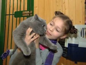 ЖЗЗ. Секретные материалы