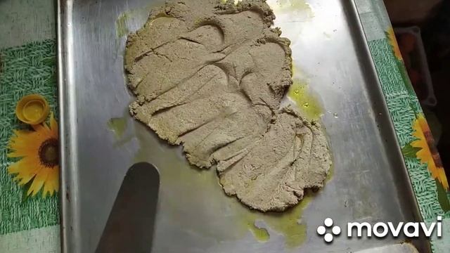 Влоги с Путешествиями