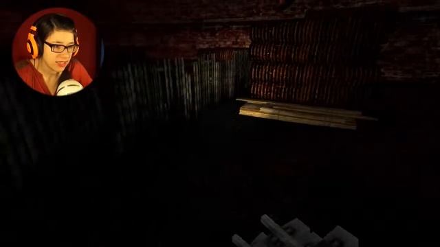 Sylvio - Indie Horror - Gameplay/Let's Play Part 1 смотреть онлайн