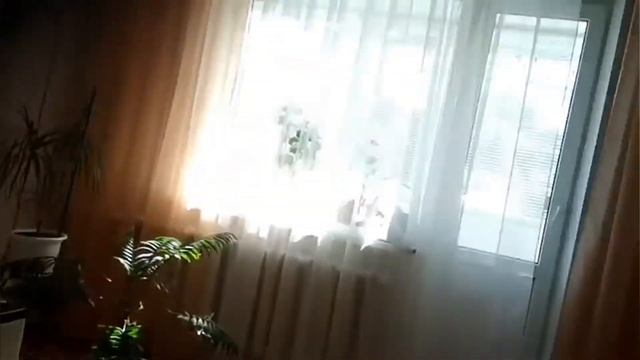 Бета версия 1 главы Чарли бокс! смотреть онлайн
