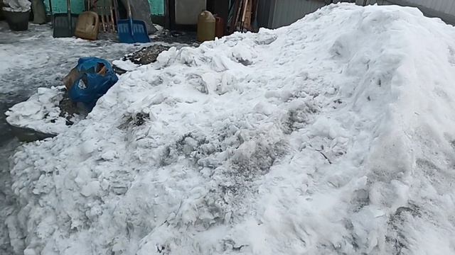 За китикет - готов на всё!