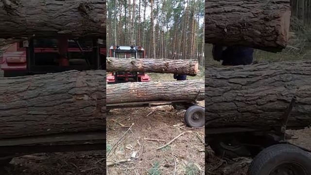 Погрузка леса минитрактором смотреть онлайн