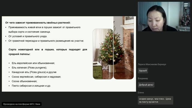 Как продлить жизнь новогодней ёлки. Лайфхак смотреть онлайн