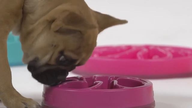 Outward Hound FUN FEEDER миска-лабиринт для собак и щенков смотреть онлайн