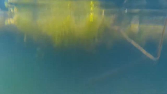 Могилёвская область. Рыбалка. Озеро Рясна. смотреть онлайн