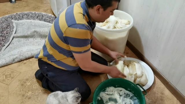 Чимчи (кимчи)