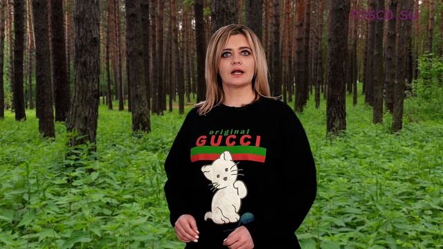 Как получить бесплатно гектар земли на Дальнем Востоке (2 ч.) смотреть онлайн