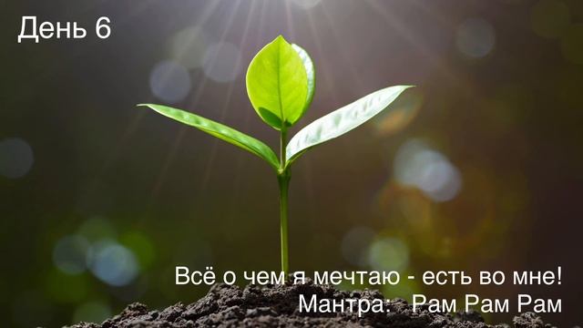 Медитация на Изобилие. День 6 смотреть онлайн