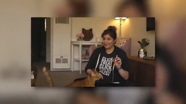 How to Keep Indoor Cats HAPPY смотреть онлайн