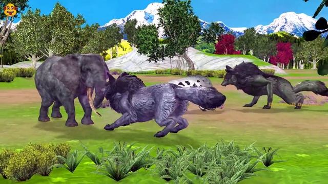 10 Jaguar Leopards Vs 10 musk Cows Animals Playing Kabaddi Games Jaguars Herd Attack Musk Cows смотреть онлайн