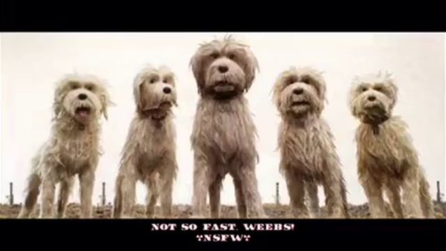 Amber is worth it смотреть онлайн