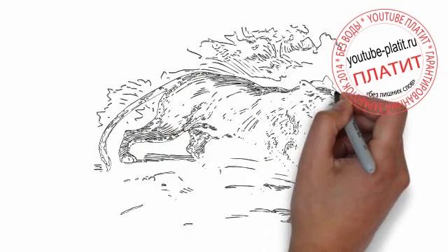 Как нарисовать таежную рысь смотреть онлайн