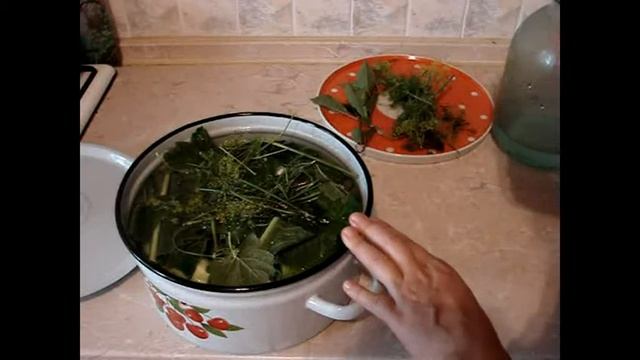 Настоящие соленые огурцы смотреть онлайн