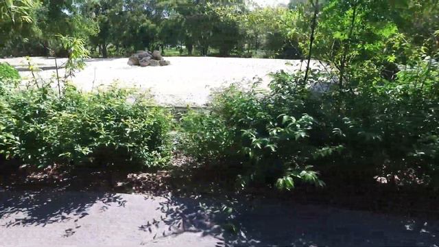 Metro Zoo Miami Florida смотреть онлайн