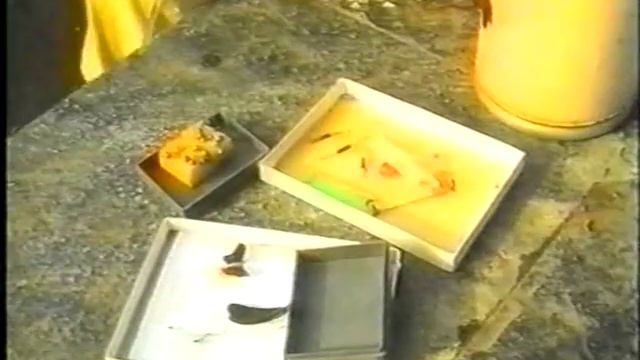 юмористическая передача нонснес х 1994 год тв пмр смотреть онлайн